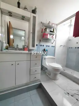 Vista 14