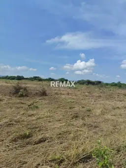 View 11