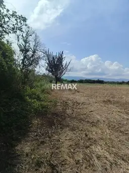 View 8
