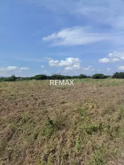 View 10