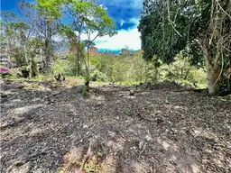 View 6