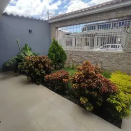 View 5