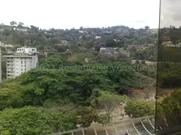 Vista 37