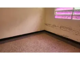 Vista 13