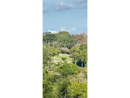 Vista 11