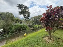 View 51