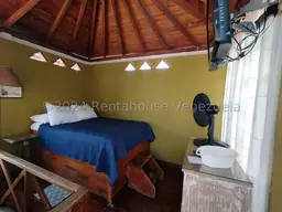 Vista 36