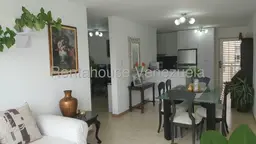Vista 4