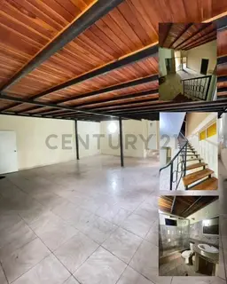 Vista 4