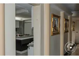 Vista 14