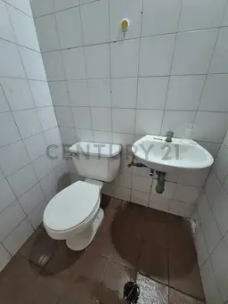Vista 4
