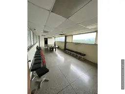 Vista 11