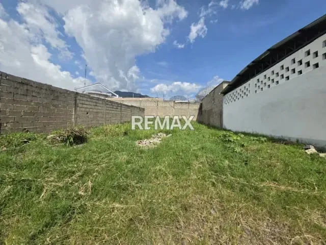 Terreno. Venta. San Juan Colon - 5