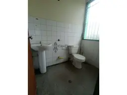 View 15
