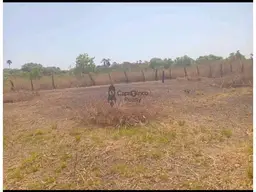 View 6