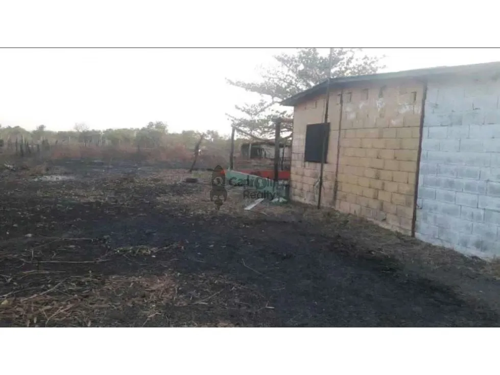 VENTA DE PREDIO DE 475 HAS EN CALABOZO, CON 5 HAS DE PALMA AFRICANA - 7