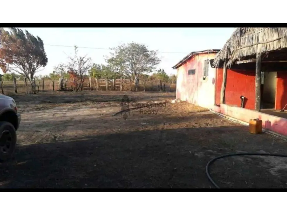 VENTA DE PREDIO DE 475 HAS EN CALABOZO, CON 5 HAS DE PALMA AFRICANA - 9