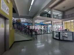 Vista 4