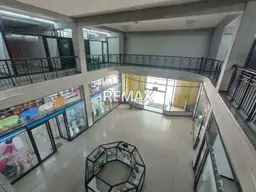 Vista 5