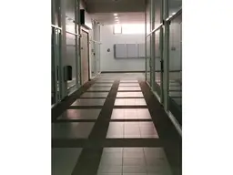 Vista 10
