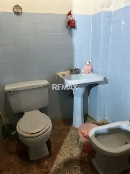 View 15