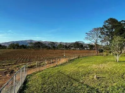 FINCA GANADERA, PRODUCCION AGRICOLA PREMIUM, POSADA BOUTIQUE / AGROTURISMO - 6