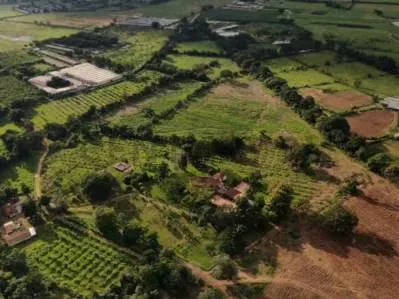 FINCA GANADERA, PRODUCCION AGRICOLA PREMIUM, POSADA BOUTIQUE / AGROTURISMO - 8