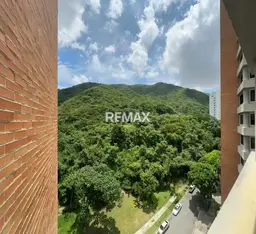 Vista 5