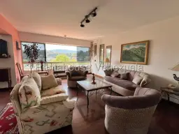 Vista 4