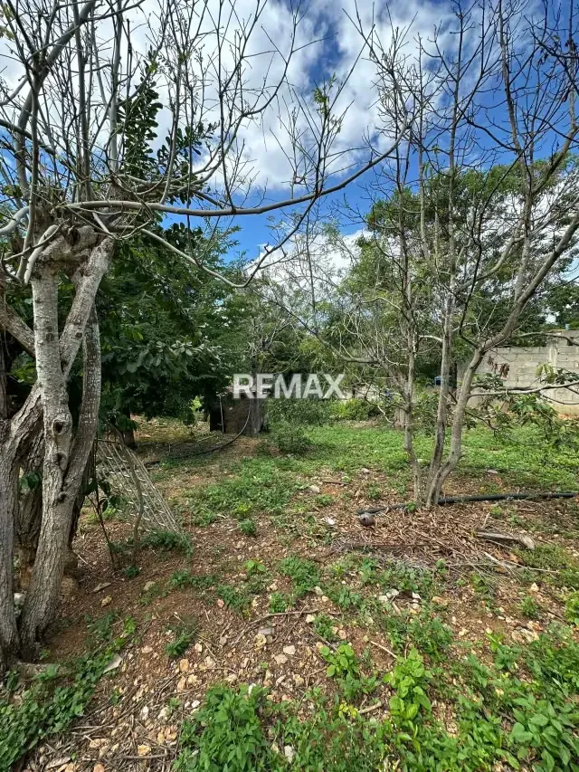 En Venta Casa Lote en Agua Viva Sector Las Cuibas. - 5