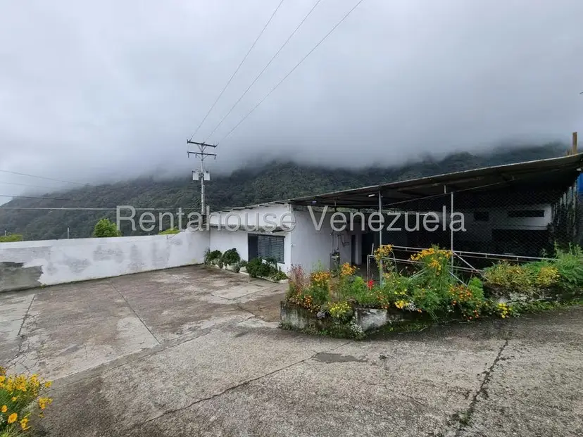 Terreno (Comercial) en Venta en Pueblo Viejo, Merida