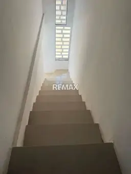 Vista 5