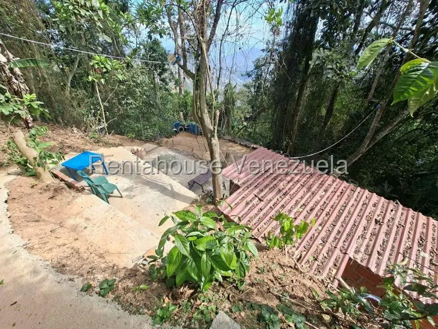 Terreno (Comercial) en Venta en Avenida Principal Cecilio Acosta, Miranda - 11