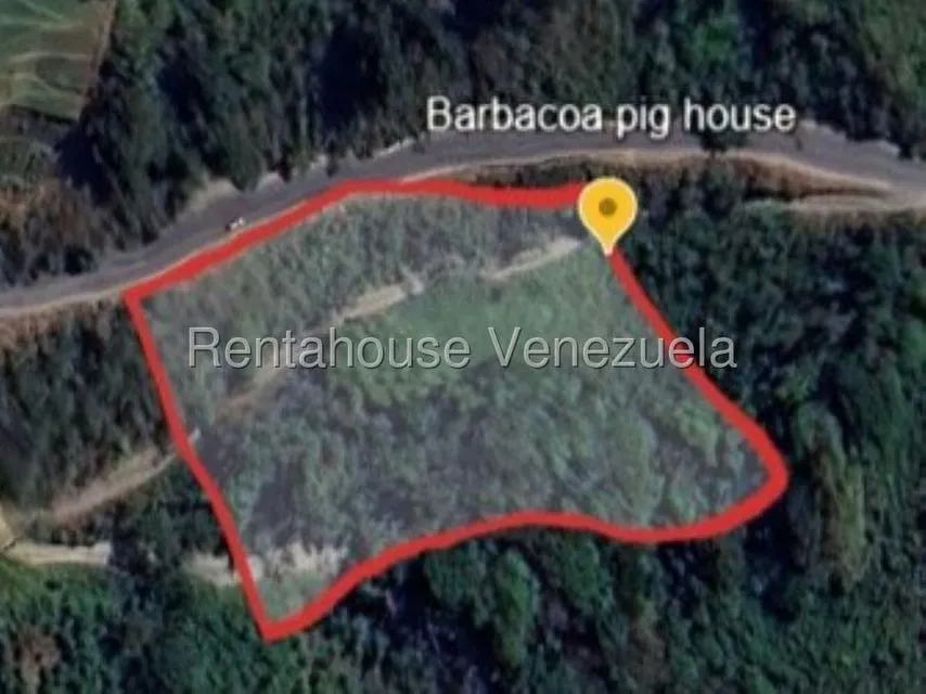 Terreno (Comercial) en Venta en Avenida Principal Cecilio Acosta, Miranda - 3