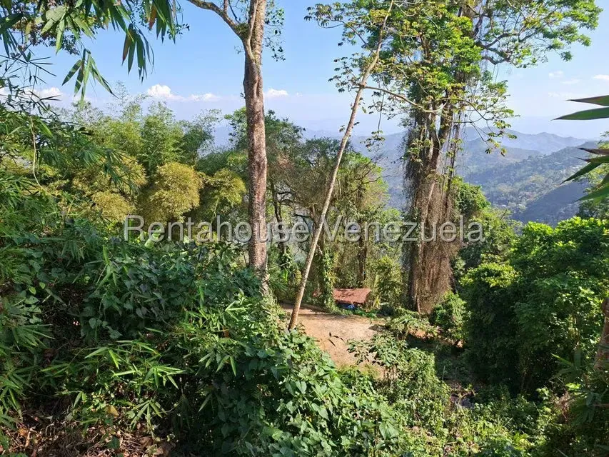 Terreno (Comercial) en Venta en Avenida Principal Cecilio Acosta, Miranda - 7