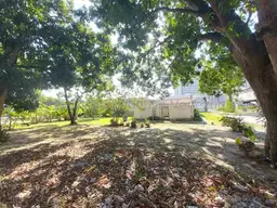 View 24