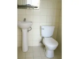 Vista 15