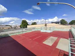 Vista 19