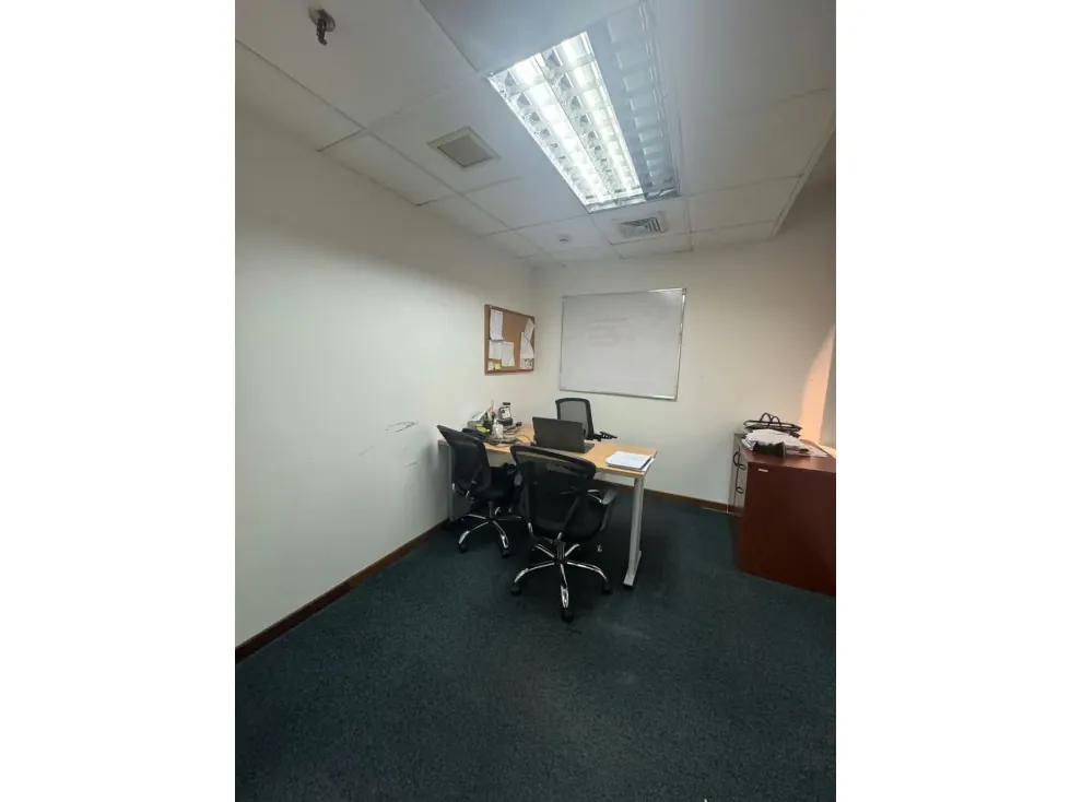 AlQUILO OFICINA TORRE HUMBOLDT - 15