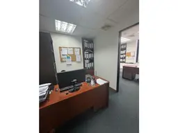 Vista 4
