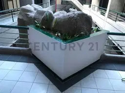Vista 12