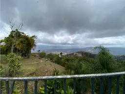 View 13
