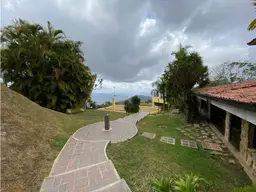 View 10