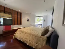 Vista 19