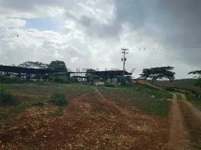 Finca en Venta Vía Yaracal Cacique M C21 Inmobiliaria A! Gloricarmen Rivas - 3