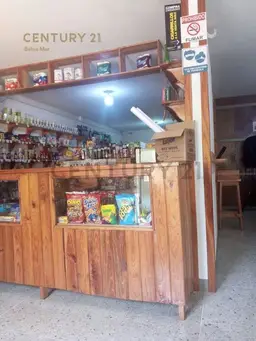Vista 4