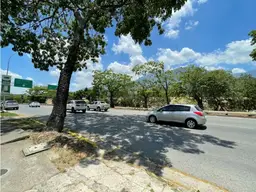 Vista 3
