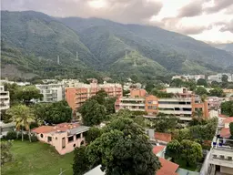 View 14