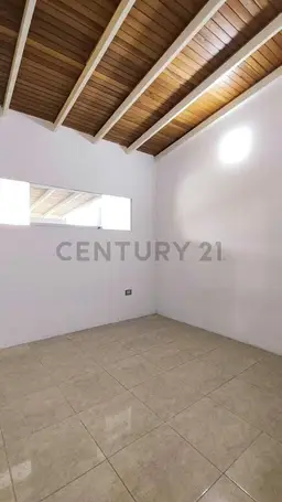 Vista 14