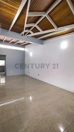 Vista 5